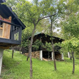 Cabana Ograda lui Călin Cheia (4)