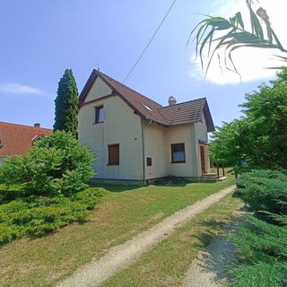 Vidéki Kuckó Zamárdi (3)