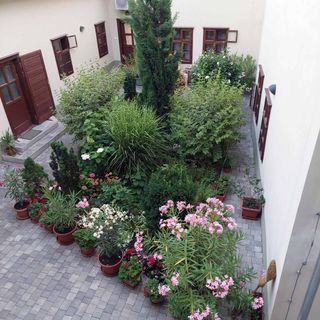 Padlás Apartman Győr (3)