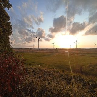 Domki holendersko -angielskie Alfa Kopań (3)