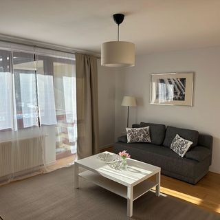 Apartament Pod Lipkami 9 Zakopane (5)