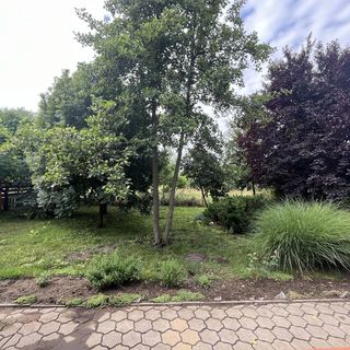 Dombi Vendégház Nyíregyháza (2)