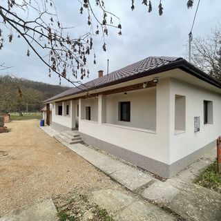 Csenkő Vendégház Zsujta (3)