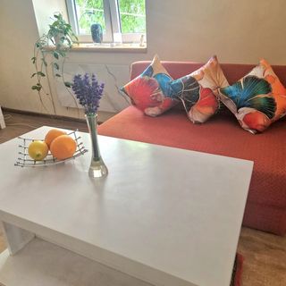 Apartament Kamienica na Lubelskiej Opole Lubelskie (2)