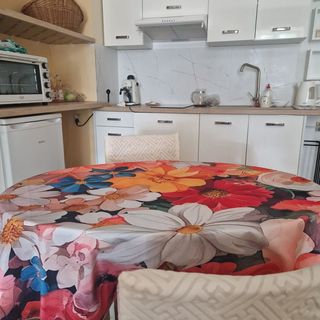 Apartament Kamienica na Lubelskiej Opole Lubelskie (3)