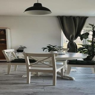 Apartament NEO Patru Timișoara (5)