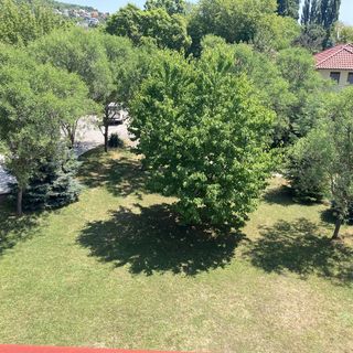 Rókalyuk Apartman Gyenesdiás (2)