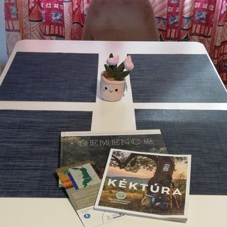 Gemenc-Lak Vendégház Baja (3)