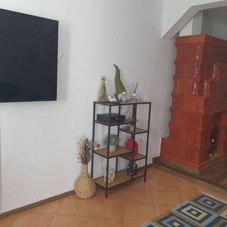 Casa de la Chiojdu Chiojdu (3)