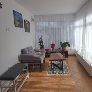 Casa de la Chiojdu Chiojdu (5)