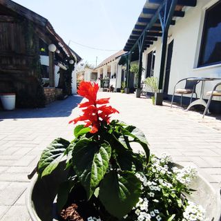 Gera Apartman Velence (3)