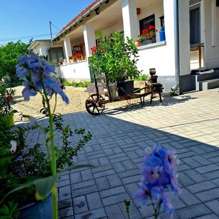 Gera Apartman Velence (4)