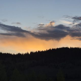 CBN Cabana Băişoara (3)