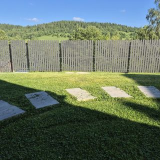 CBN Cabana Băişoara (4)