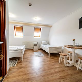 Pensiune și Restaurant Hadnagy Lupeni (5)