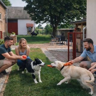 Bagotai Vendégház Pécsbagota (5)