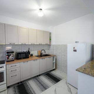 Casa Timiș Vişeu de Sus (5)