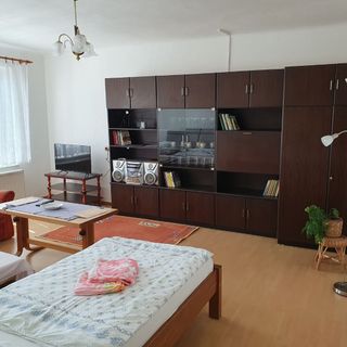 Apartmán Vilovka Slavonice (4)