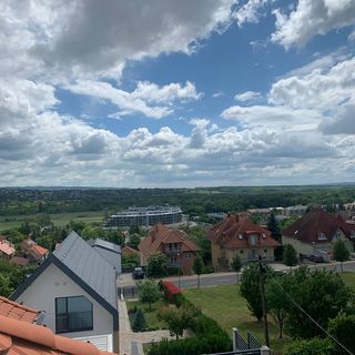 Napfény Apartman Hévíz (2)