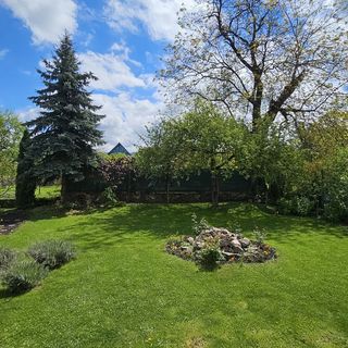 Casa Gross Cristian (5)