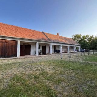 Riverside Team Rábaszentmiklós (4)