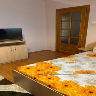 Apartament Darya Băile Felix (3)