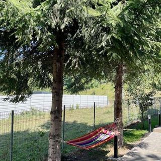 Casa Emana Teșila (5)