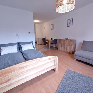 Szilfaliget Apartman Cserkeszőlő (5)