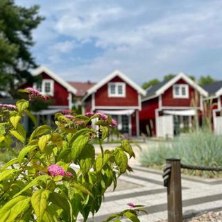 Czerwone Domki Dębki (4)