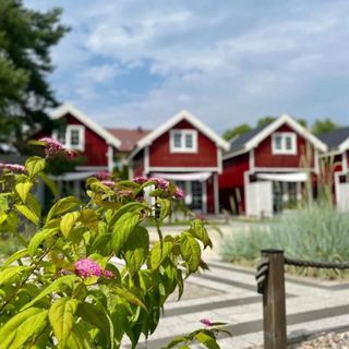 Czerwone Domki Dębki (5)