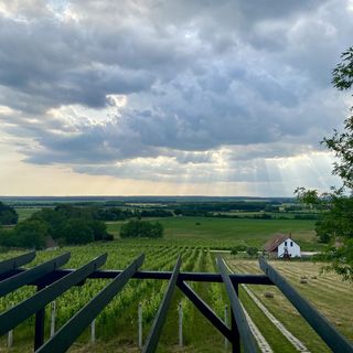 Zenit Vendégház Borgáta (5)