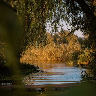 Casa Deltei Dunavățu de Jos (4)