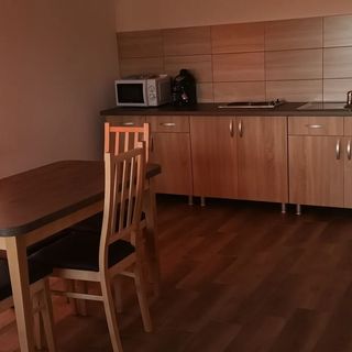 Apartament Ianus Sovata (5)