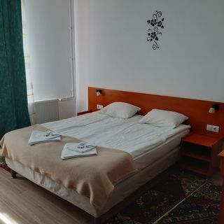 Muskátli Villa Sovata (5)