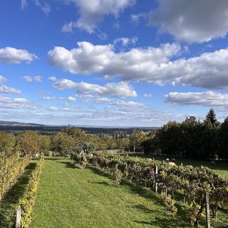 Kis Pihi Vendégház Alsópáhok (2)