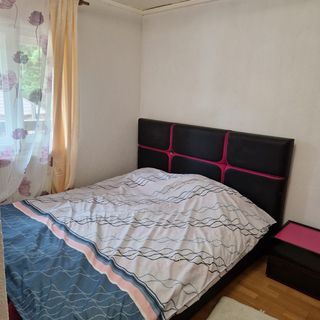 Pensiunea Mountain Fish Bicaz (4)