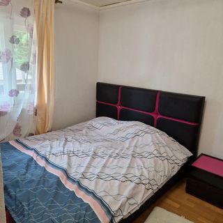 Pensiunea Mountain Fish Bicaz (4)