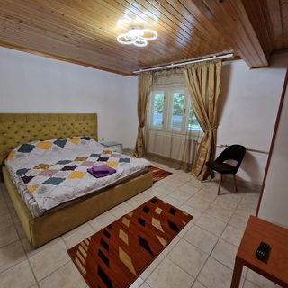 Pensiunea Mountain Fish Bicaz (5)