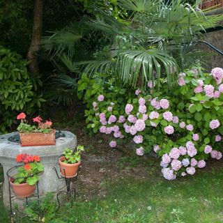 Apartment Volosko for two Opatija (3)