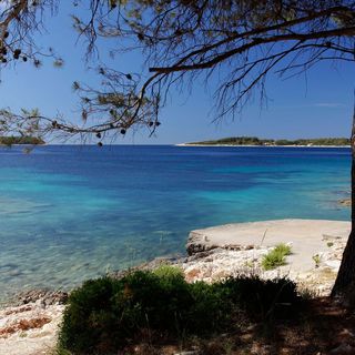 Apartments Doro Vela Luka (4)