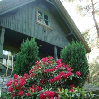 Domek Zielona Chata Pobierowo (2)