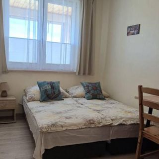 Pokoje gościnne Halibut Łeba (5)