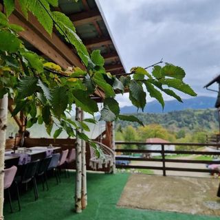Pensiunea Glasul Pădurii Moieciu de Jos (4)