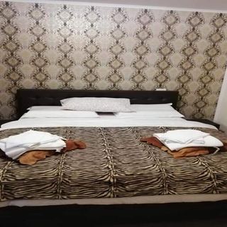 Casa Brănescu Acriș (3)