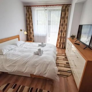 Orchid Luxury Apartment Sinaia (3)