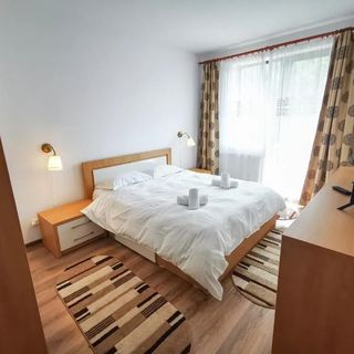 Orchid Luxury Apartment Sinaia (4)