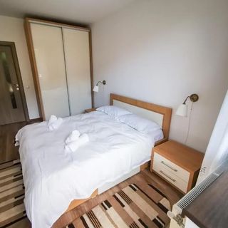 Orchid Luxury Apartment Sinaia (5)