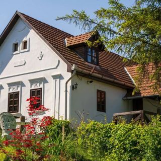PalócManor Vendégház Nagyvisnyó (2)