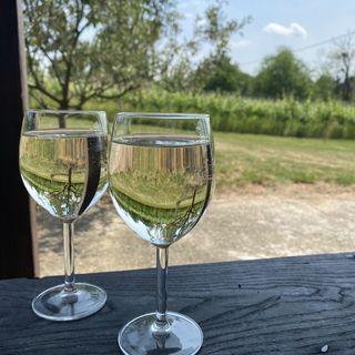 Zengő Vendégház Borgáta (4)