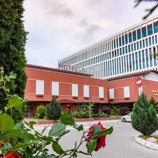 Hotel Torontal Banat Timișoara (4)